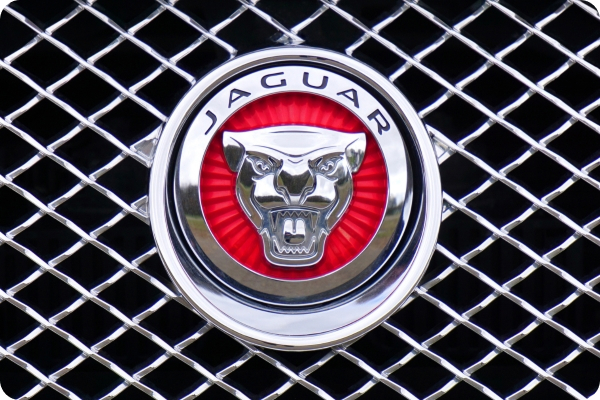 Jaguar-sec-img