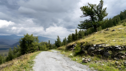 Austrian Road Kazakhstan